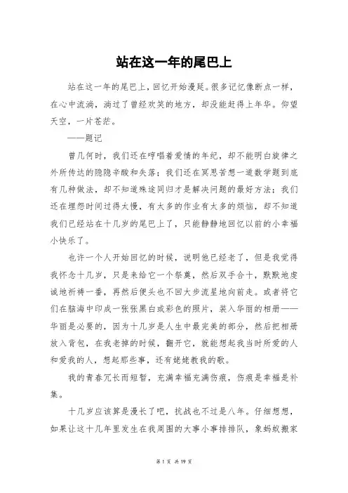 站在这一年的尾巴上_高三作文