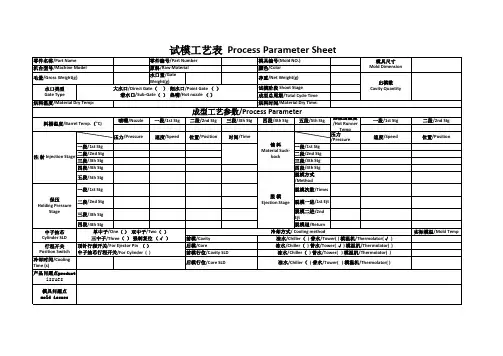 试模报告 2