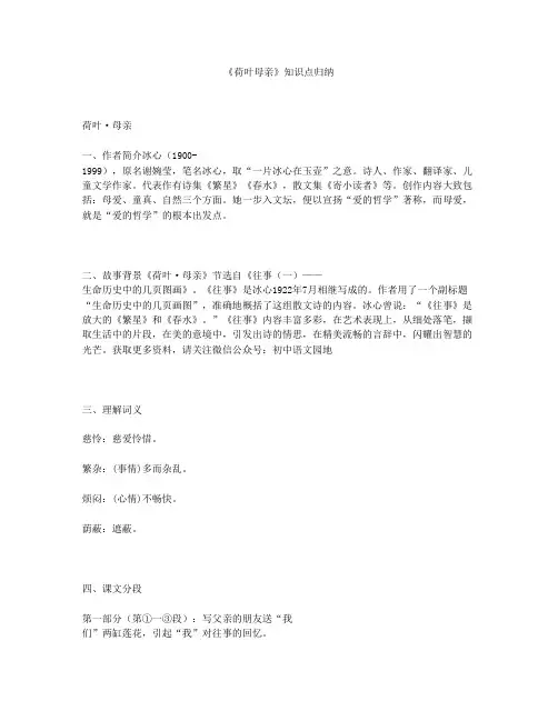 《荷叶母亲》知识点归纳