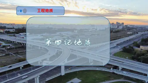 第四纪地质