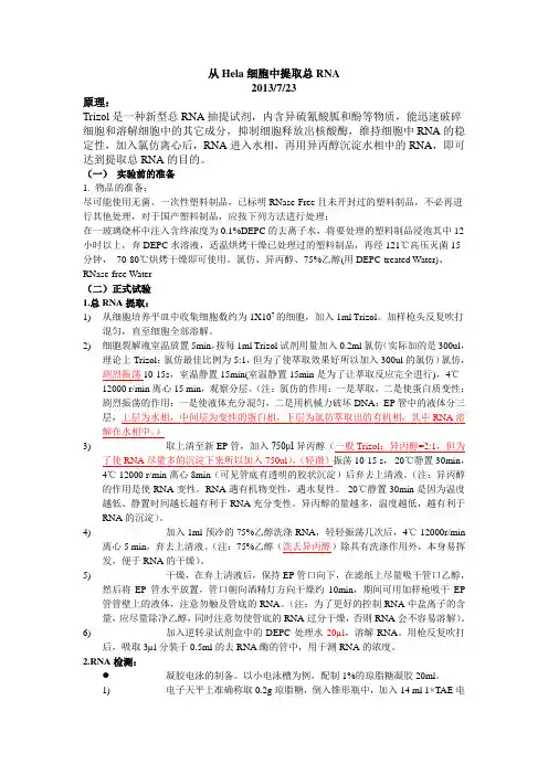 细胞总RNA提取