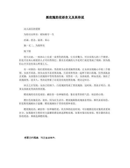 黑玫瑰的花语含义及其传说
