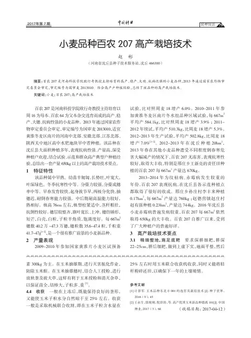 小麦品种百农207高产栽培技术