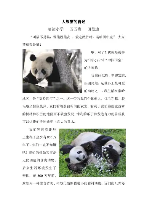 大熊猫的自述