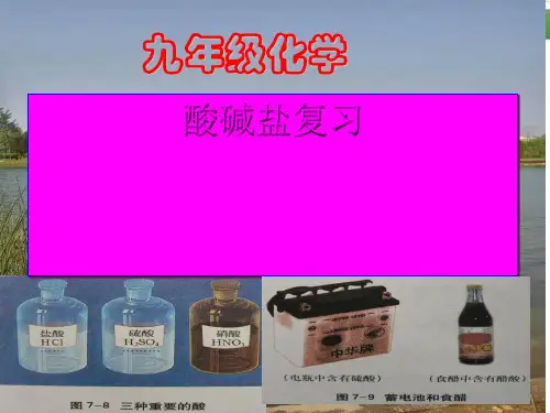 常见的酸和碱复习PPT课件