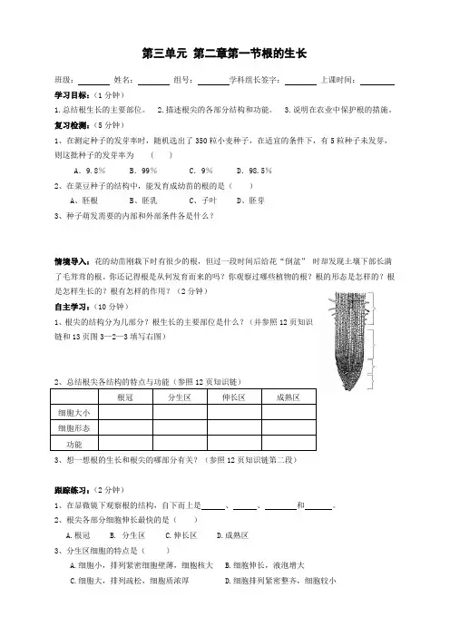 3第一节 根的生长