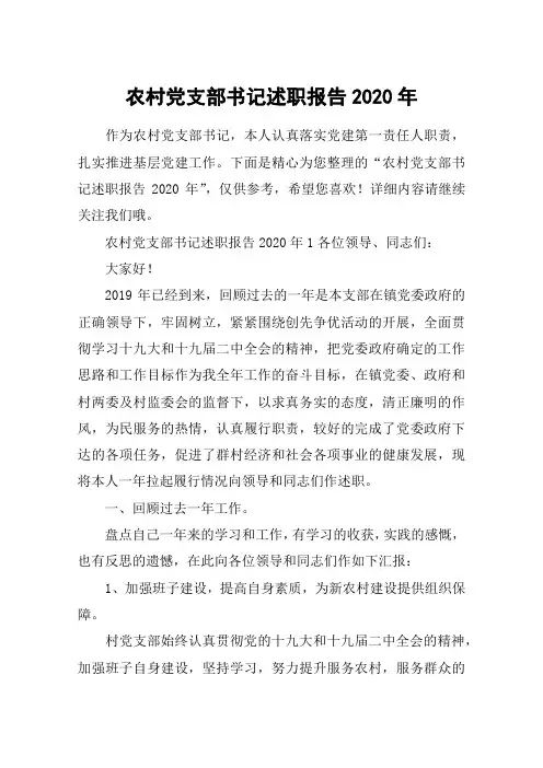 农村党支部书记述职报告2020年