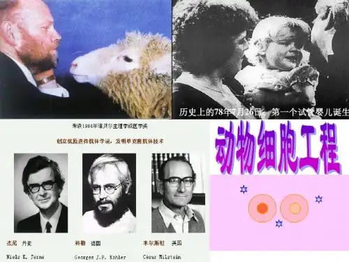动物细胞工程