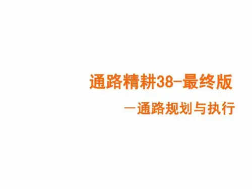康师傅顶津-通路精耕细作38版共59页文档