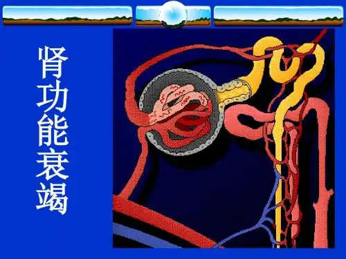 肾功能衰竭