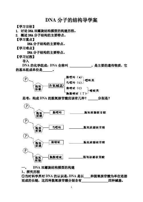 DNA的分子结构学案2