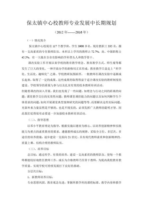 教师中长期发展规划规划