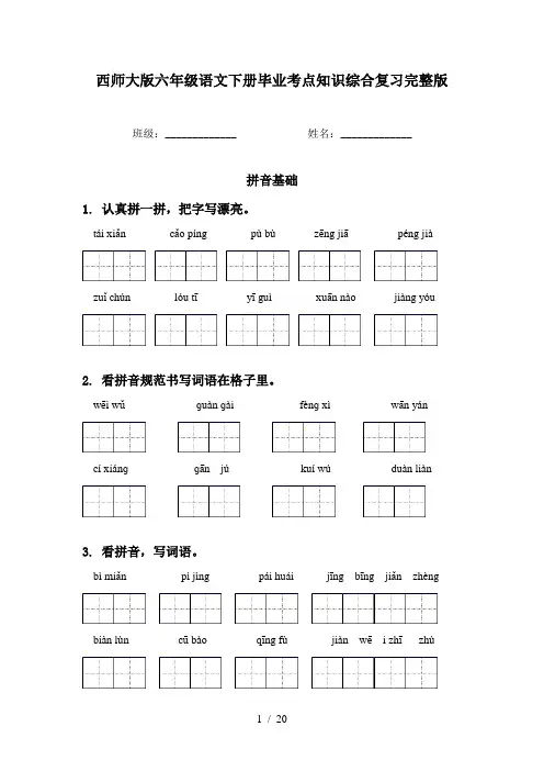 西师大版六年级语文下册毕业考点知识综合复习完整版