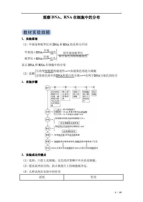 冲刺2020高考生物实验突破专题：观察DNA、RNA在细胞中的分布(附答案及解析)