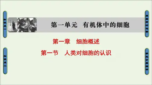 2019-2020学年高中生物第1单元第1章第1节人类对细胞的认识课件中图版必修1