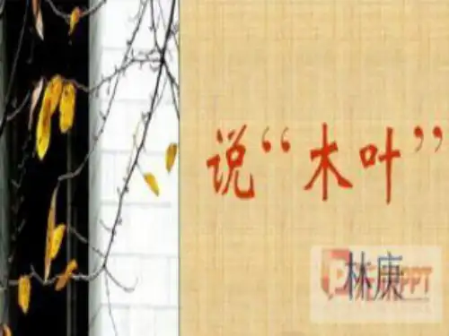 说木叶