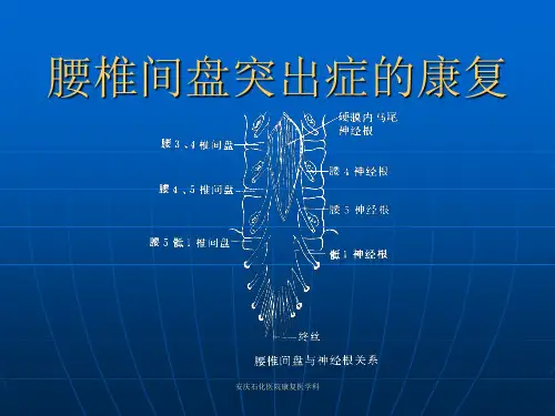 (康复医学科)腰椎间盘突出症的康复