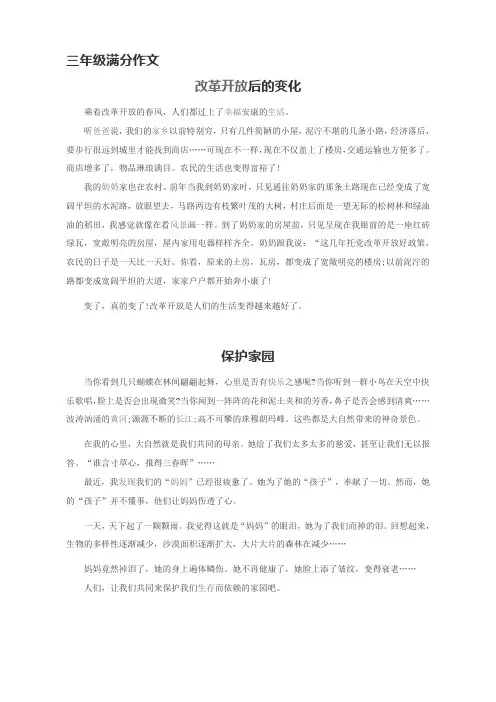 小学生满分作文