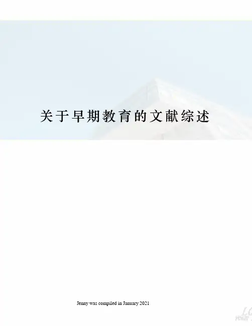 关于早期教育的文献综述