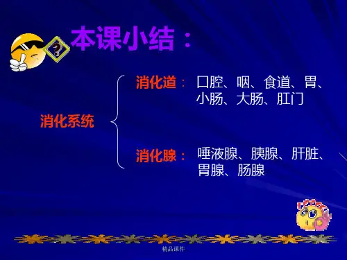第2节食物的消化和吸收第二课时