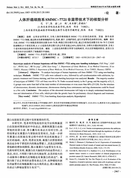 人体肝癌细胞系SMMC-7721非显带技术下的核型分析
