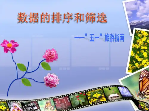 《数据的排序与筛选》教学课件