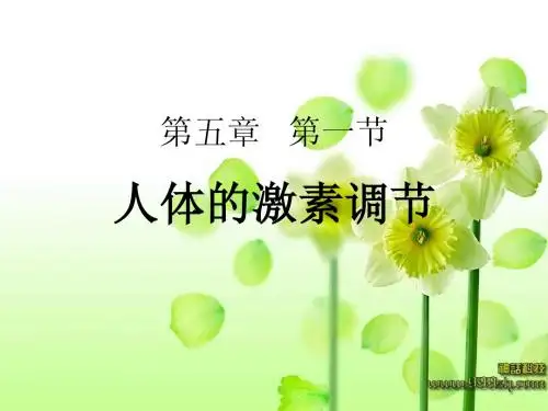 人体的激素调节-七年级下生物-济南版