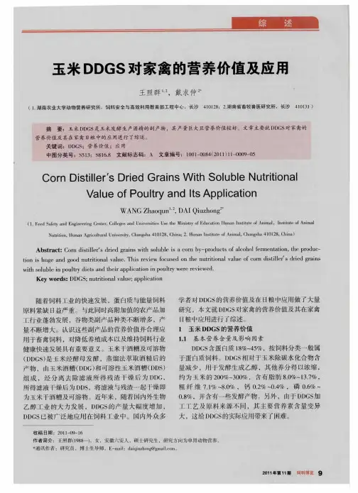 玉米DDGS对家禽的营养价值及应用