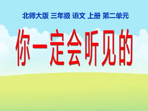 《你一定会听见的》2课件ppt