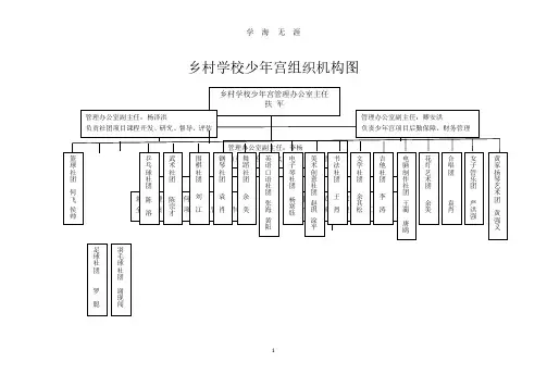 乡村学校少年宫组织机构图(7月20日).pdf