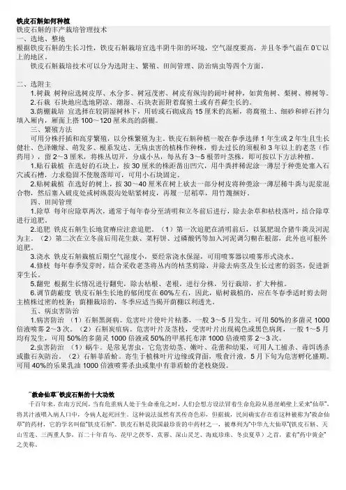 铁皮石斛如何种植