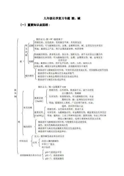 九年级化学复习专题——酸、碱