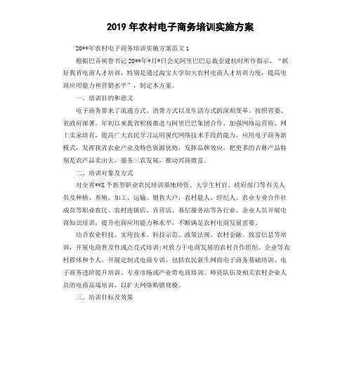 2019年农村电子商务培训实施方案