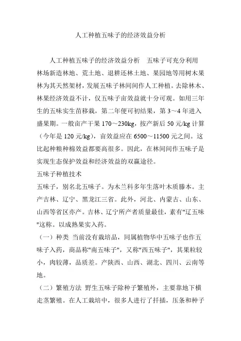 人工种植五味子的经济效益分析