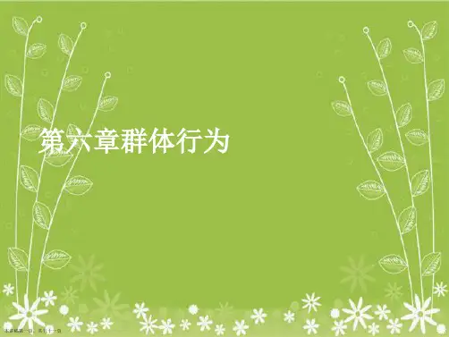 第六章群体行为
