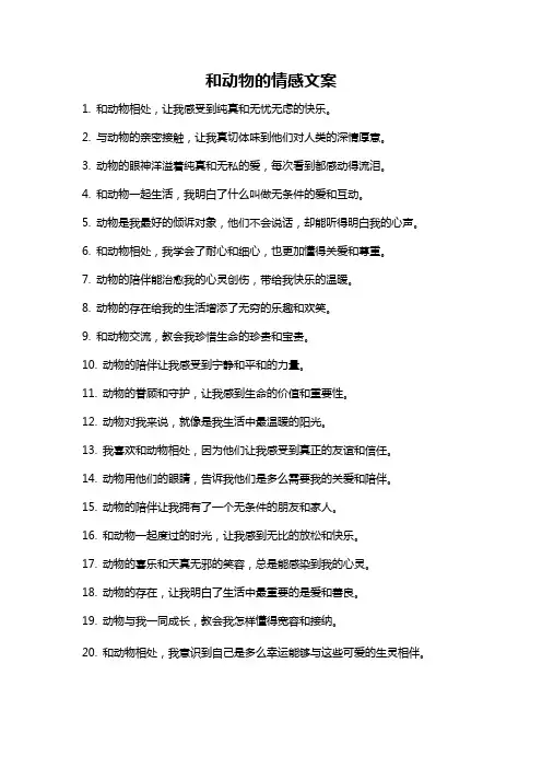 和动物的情感文案