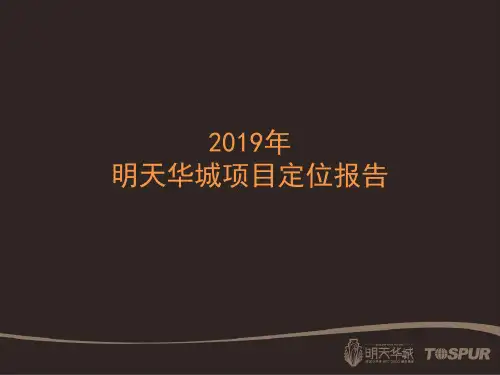 同策2019年上海明天华城的项目定位的报告