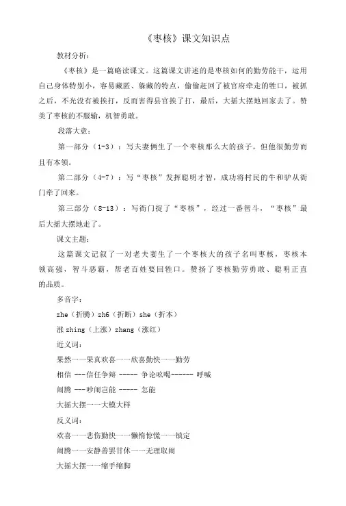 枣核课文知识点-精品