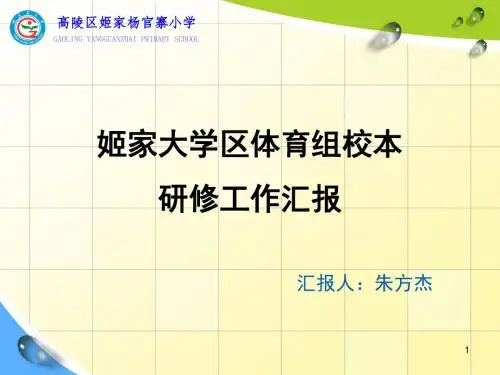 杨官寨小学体育教研组小本研修汇报