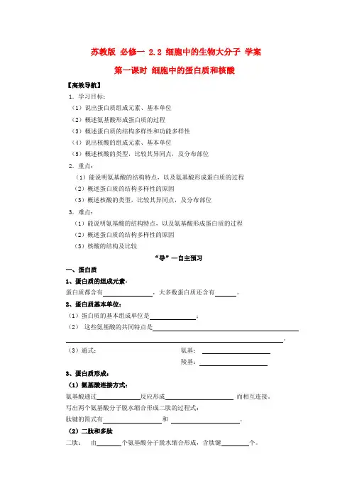 高中生物 2.2 细胞中的蛋白质和核酸学案 苏教版必修1
