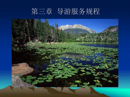 第3章导游服务规程33