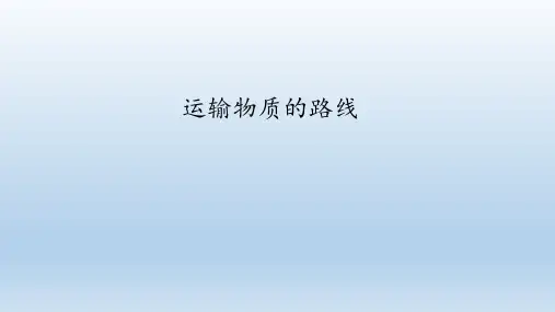 冀教版生物七年级下册： 运输物质的路线  课件