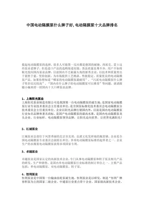 中国电动隔膜泵什么牌子好,电动隔膜泵十大品牌排名