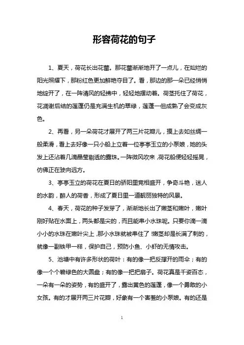 形容荷花的句子