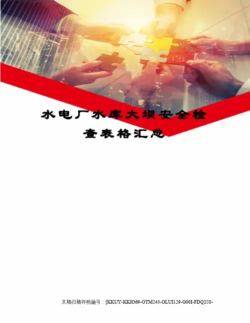 水电厂水库大坝安全检查表格汇总