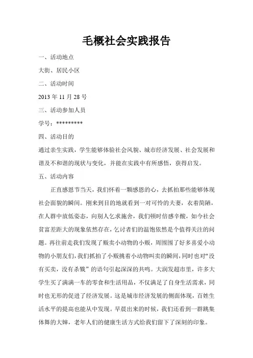 毛概课实践报告
