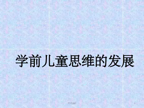 学前儿童思维、概念、推理的发展ppt课件