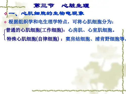 4解剖生理学基础—第六章  循环系统4