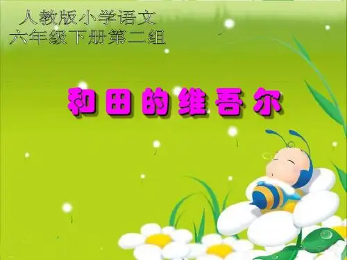 人教版小学语文第12册__《和田的维吾尔》__ppt课件