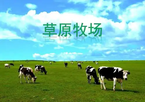 草原牧场-策略游戏